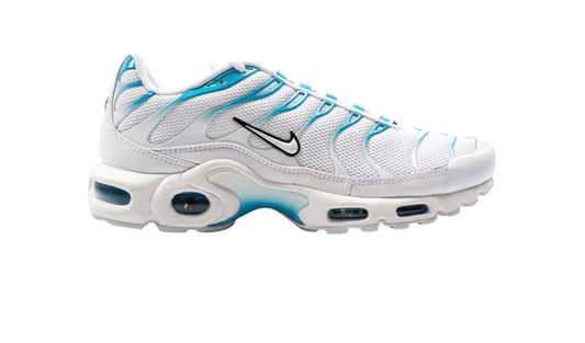 NIKE TN AIR MAX PLUS - BLEU FOURRURE
