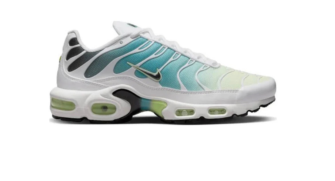 NIKE TN AIR MAX PLUS - CACTUS POUSSIÉREUX